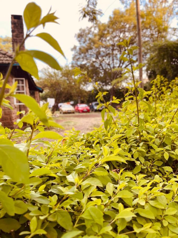 Kilimani-sebuleni *