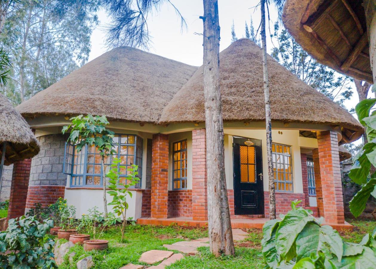 Edaala Comfort - Guest house *
