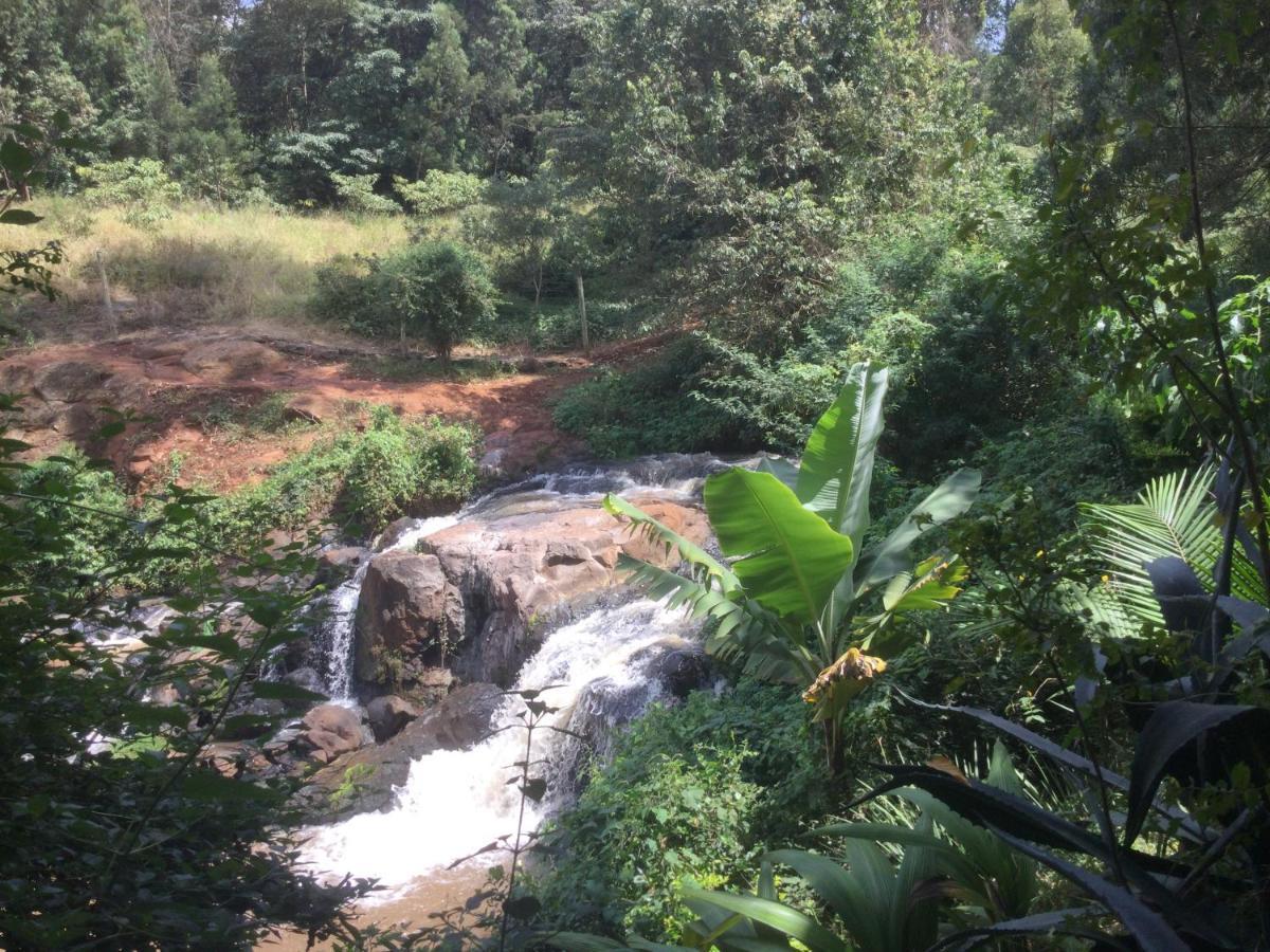 Casa de hóspedes Rock Stop Falls