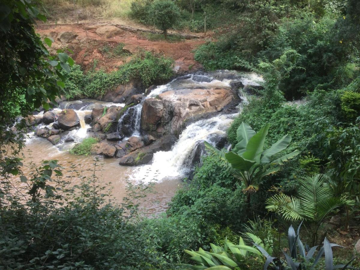 Rock Stop Falls