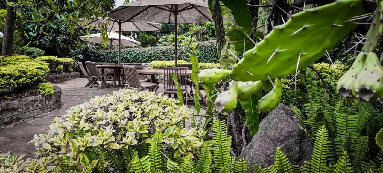 Margarita House Nairobi