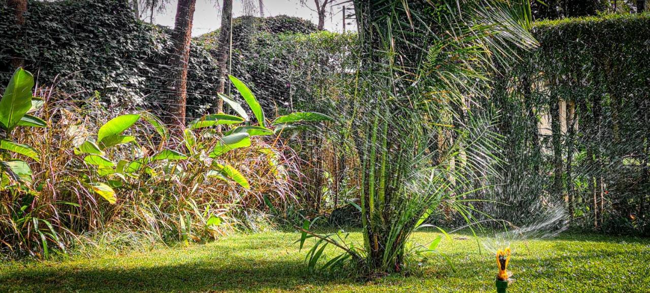 Guest house Margarita House 3*