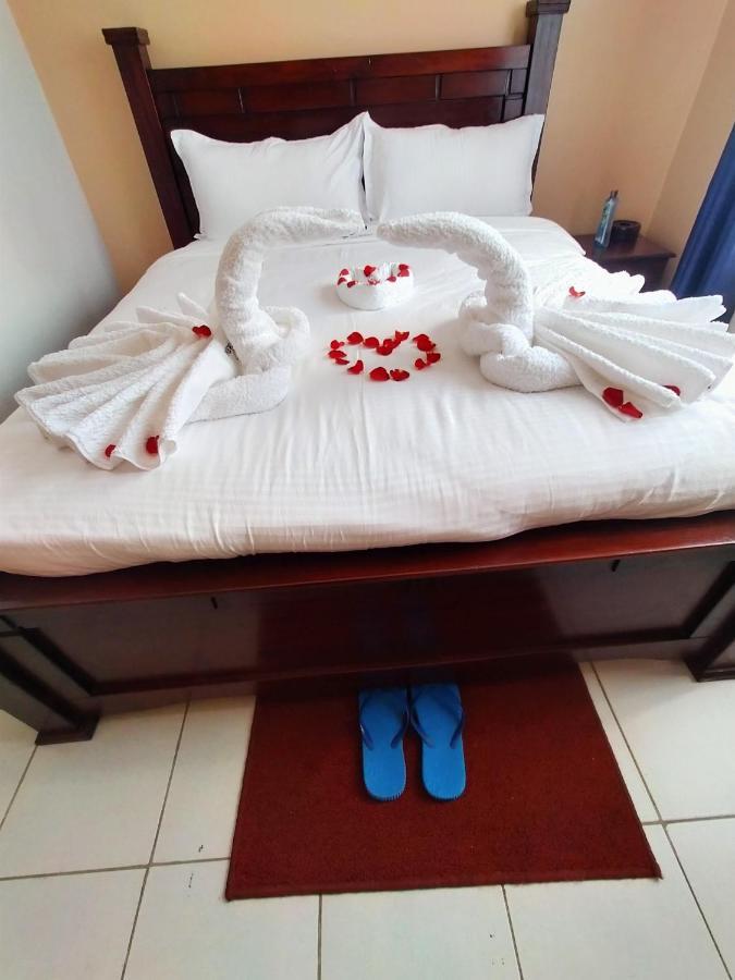 New Carnation Nairobi