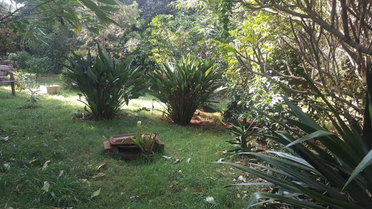 The Cottage-place Of Grace 2bdrm And Loft Bed 4u At Usd58 Apartment Nairobi