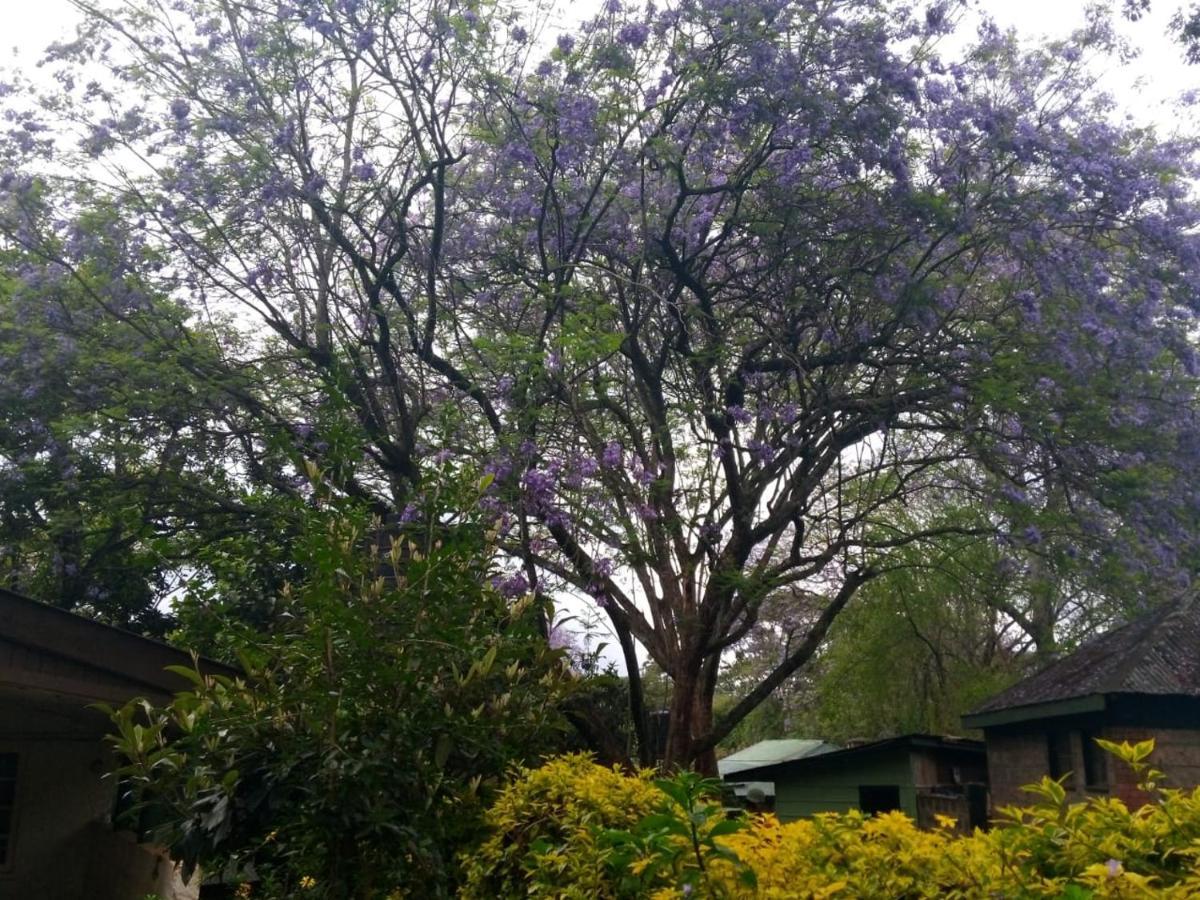 Apartment The Cottage-place Of Grace 2bdrm And Loft Bed 4u At Usd58 Nairobi