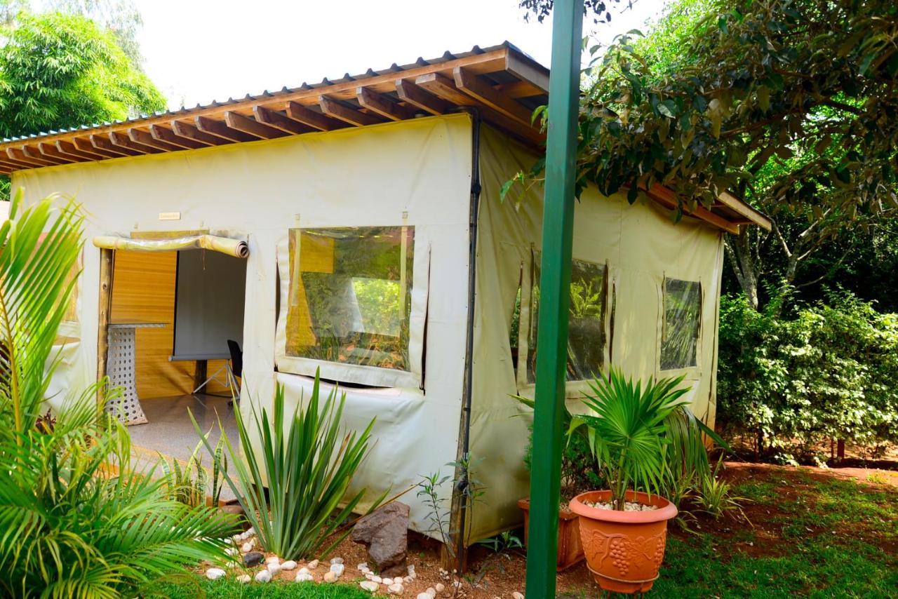 Severine And Lounge Ltd Chalet Nairobi