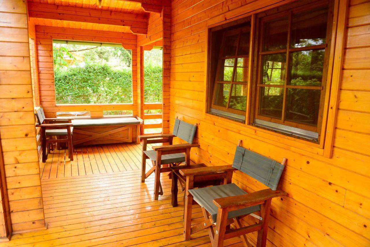 Severine And Lounge Ltd Chalet Nairobi