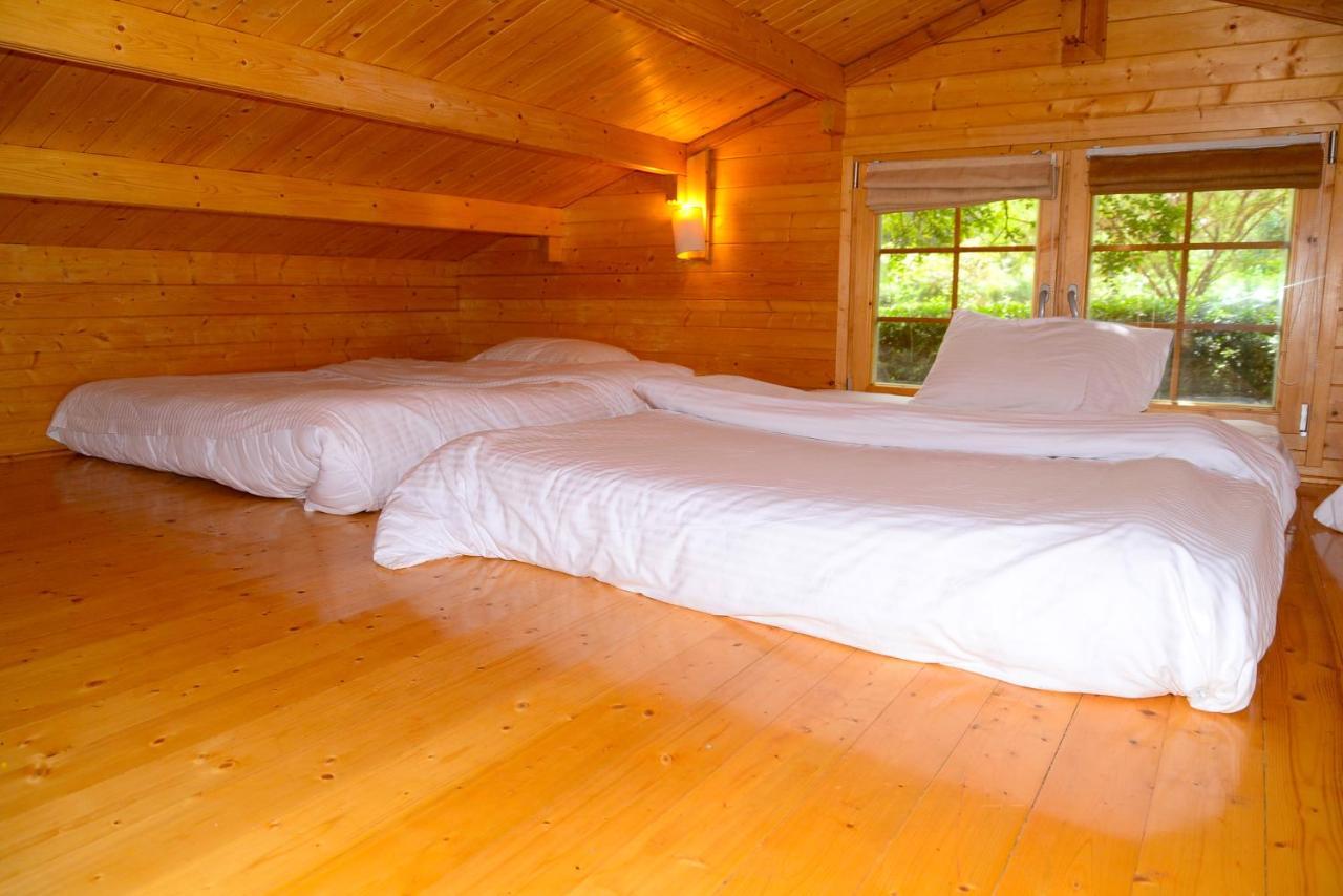 Chalet Severine And Lounge Ltd Nairobi