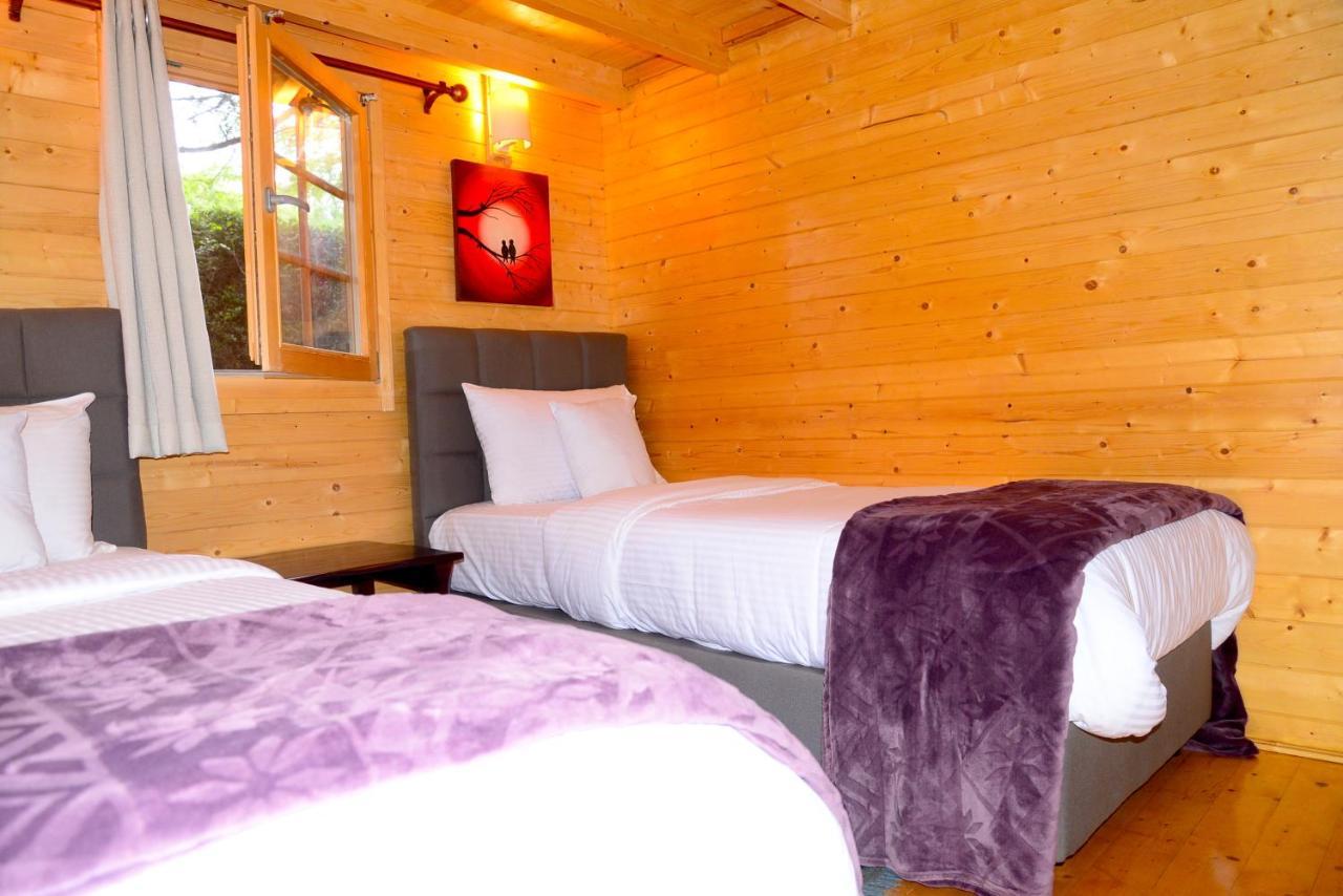 Severine And Lounge Ltd