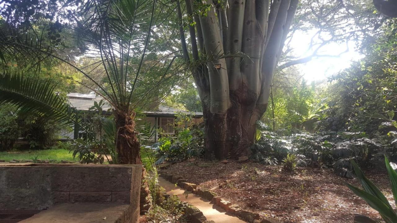 The Cottage-place Of Grace 2bdrm And Loft Bed 4u At Usd58 Apartment Nairobi