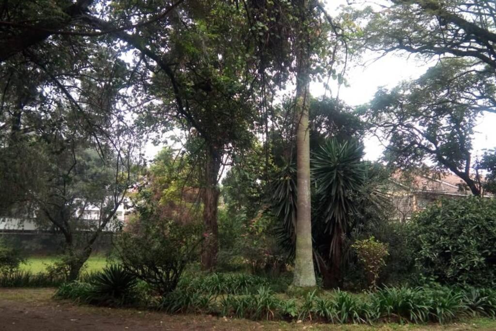 Quiet Comfortable Studio With Mature Garden View.