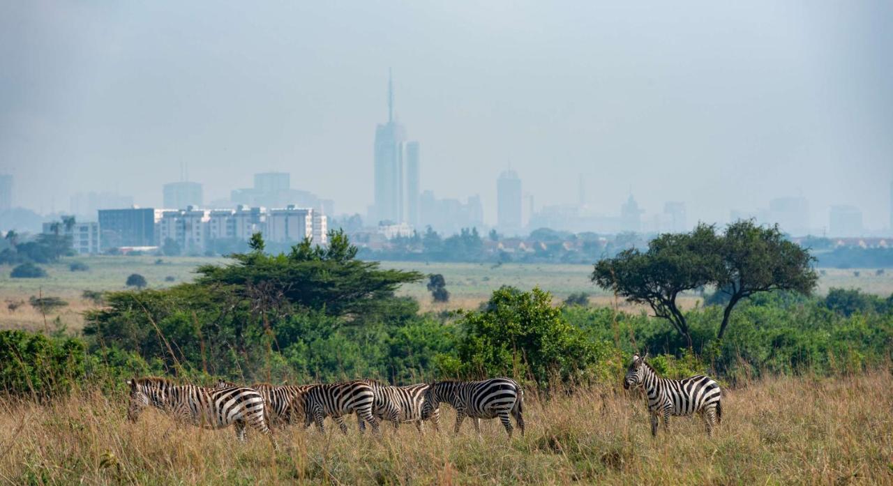 Park By Radisson, Westlands Nairobi