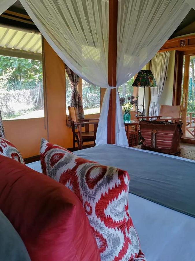 Orbitir Burrow Luxury Tent Luxury tent