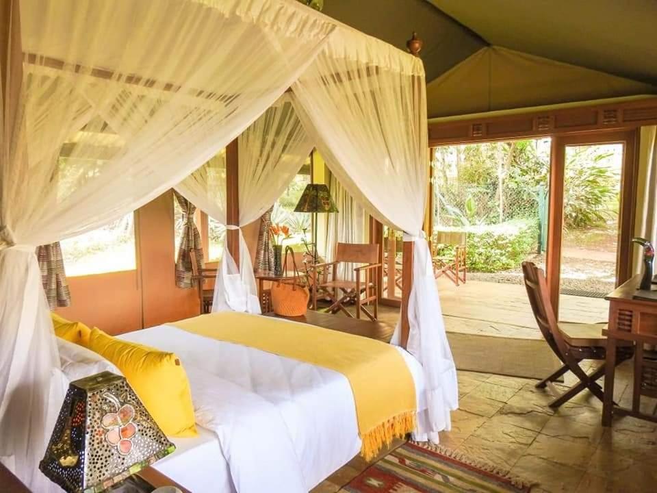 Orbitir Burrow Luxury Tent Luxury tent *