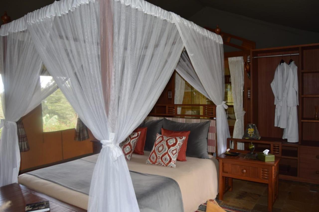Orbitir Burrow Luxury Tent * Nairobi