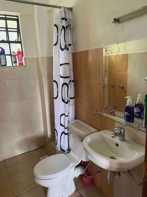 Apartment Johari Westlands School Lane *