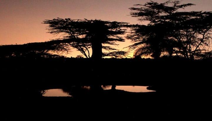 National Park - Kampi Ya Karin Nairobi