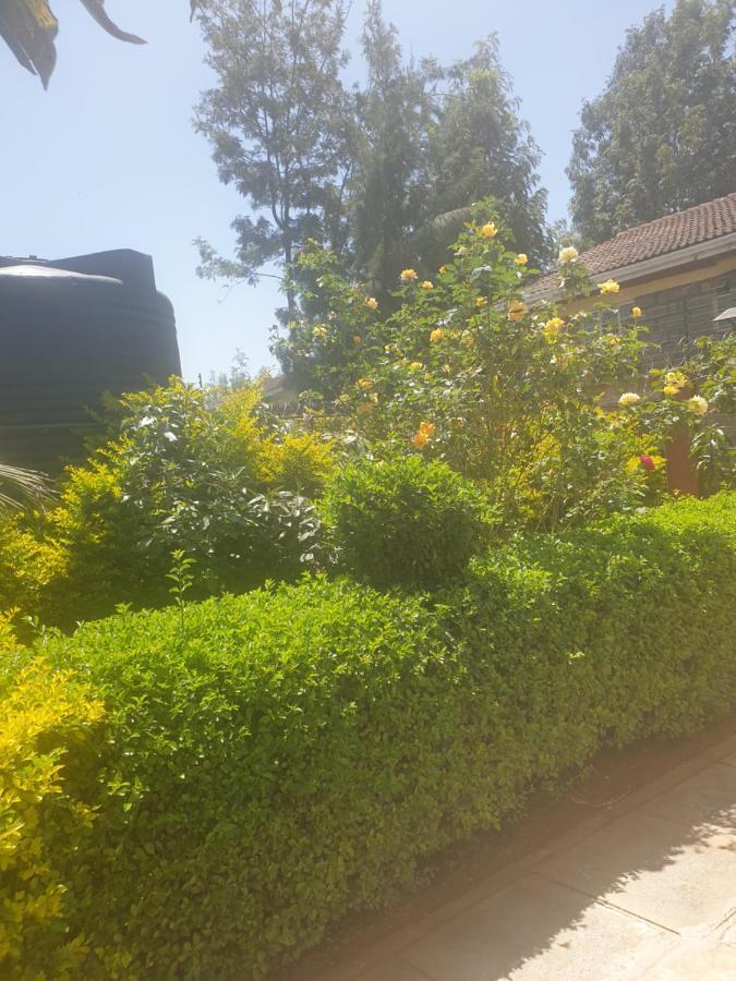 Apartment Lovely 2 And 1 Bedroom Guest Units Karen Nairobi