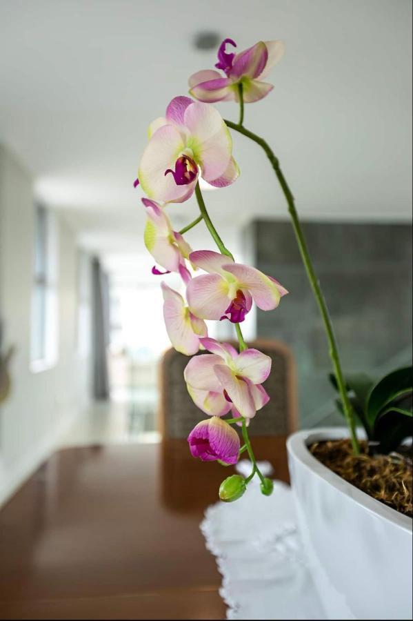 The Primrose Penthouse Apartment *