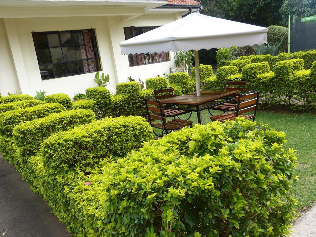 Guest house Biblica 3*