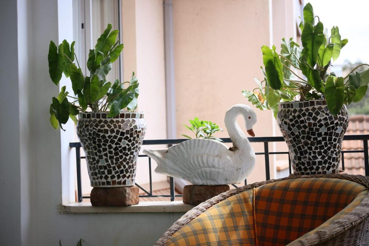 Lantana D6 * Nairobi