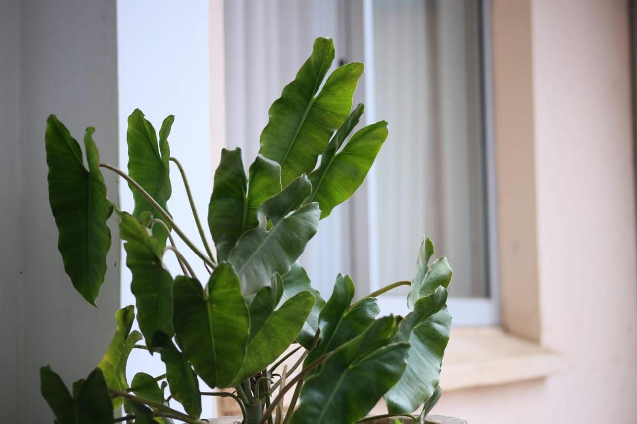 Lantana D6 Apartment