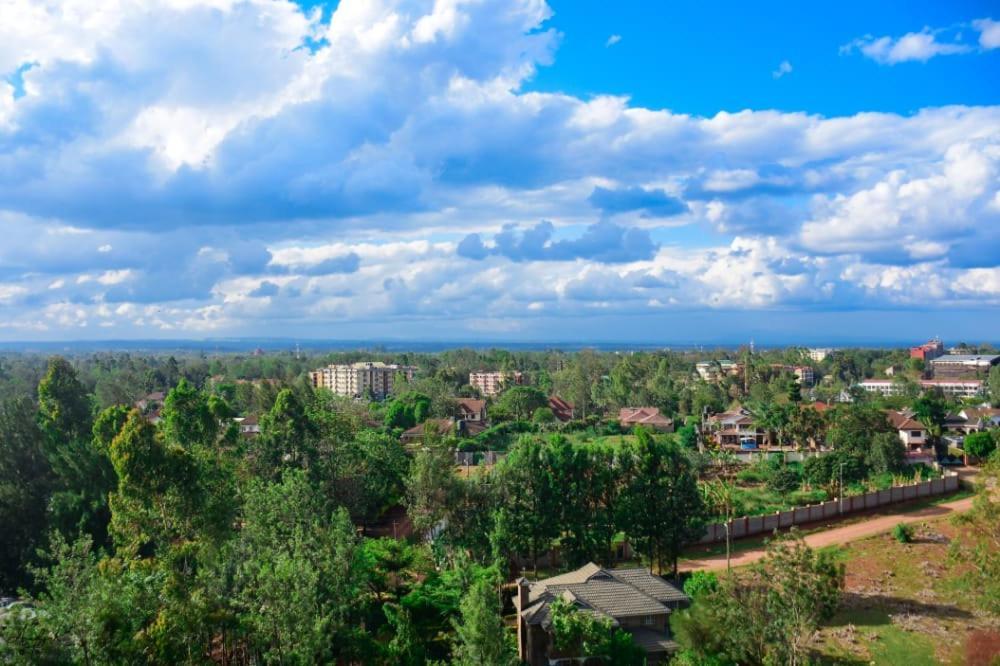 Dream View Near Safari Park Apartment *