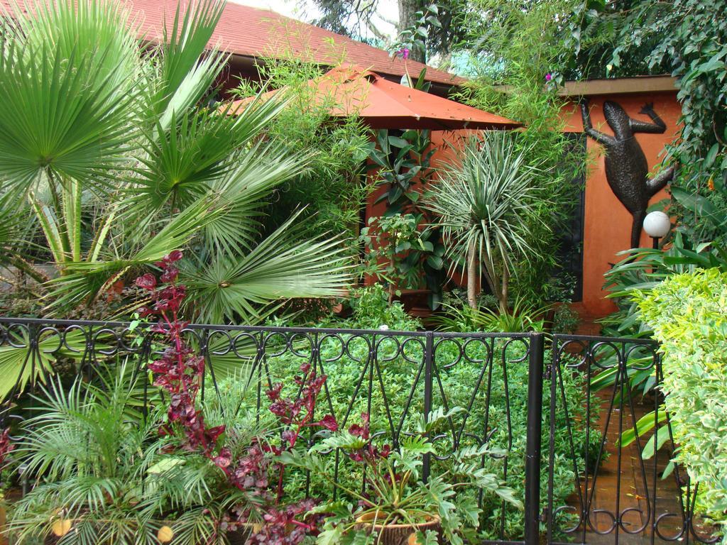 Guest house Lake View Studios 3*