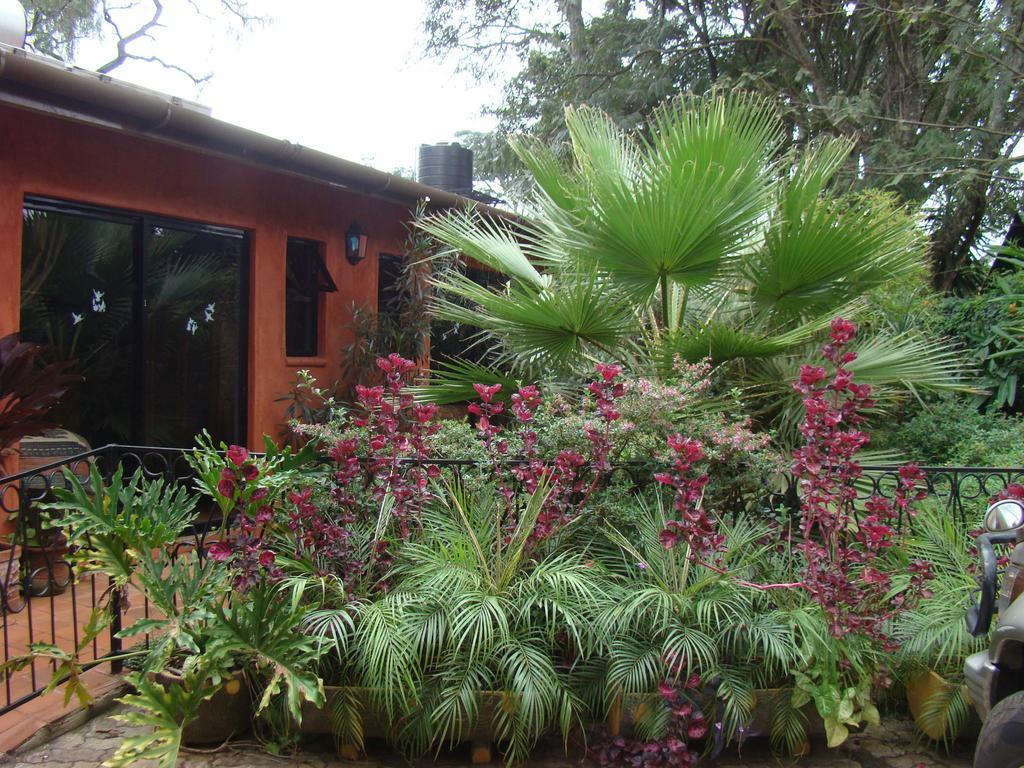 Lake View Studios Guest house