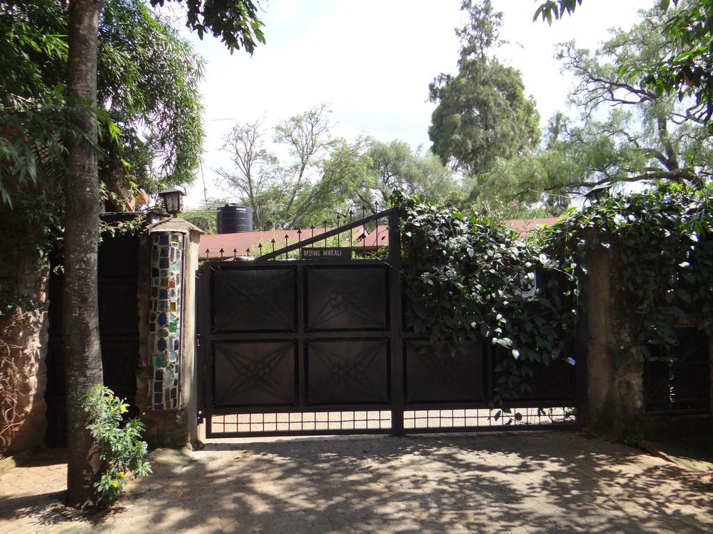 Guest house Lake View Studios 3*