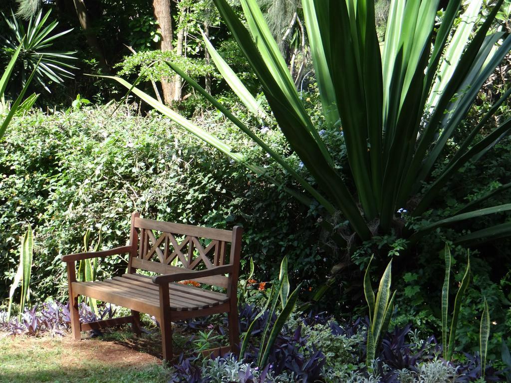 Lake View Studios Guest house 3*
