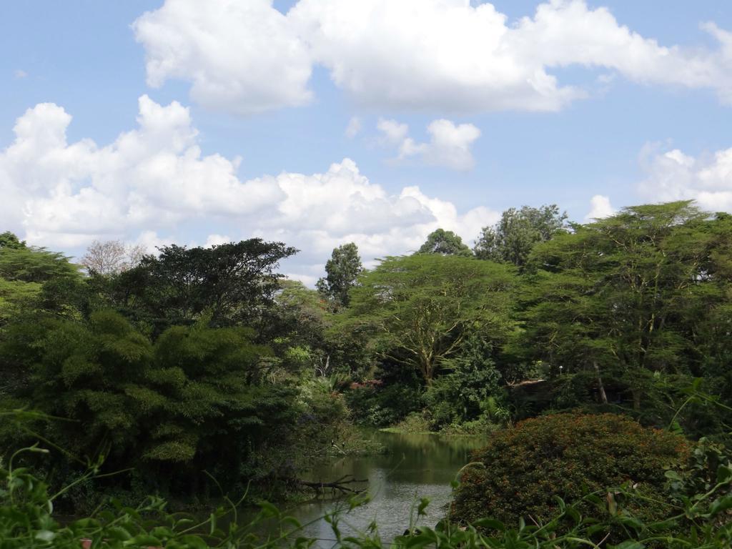Guest house Lake View Studios Nairobi