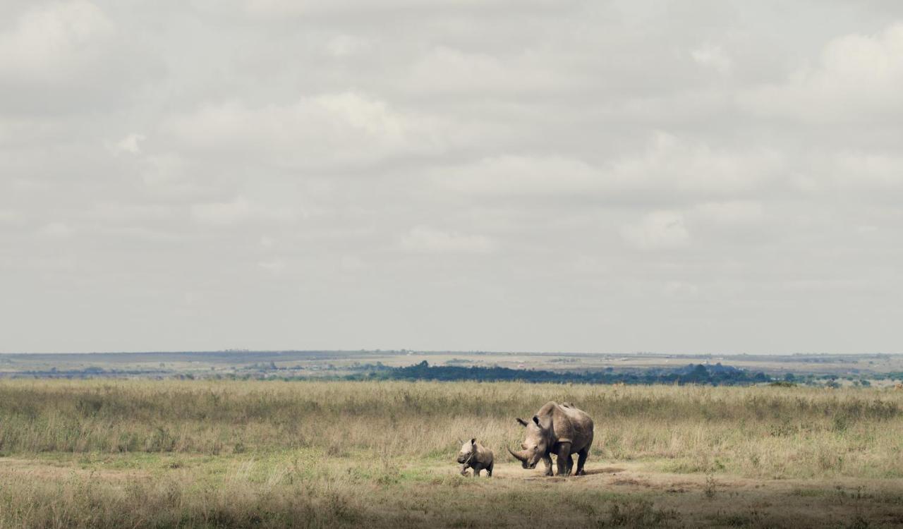 Ololo Safari