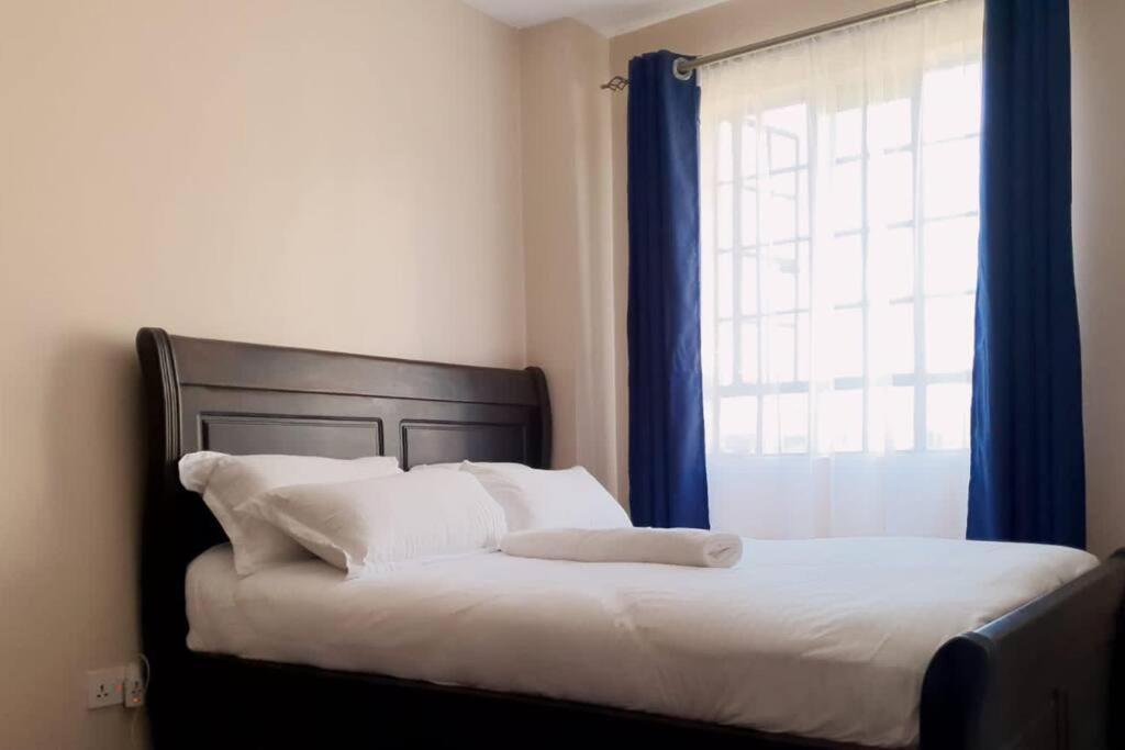 Apartment Cozy 1 Bedroom In South B, Nairobi