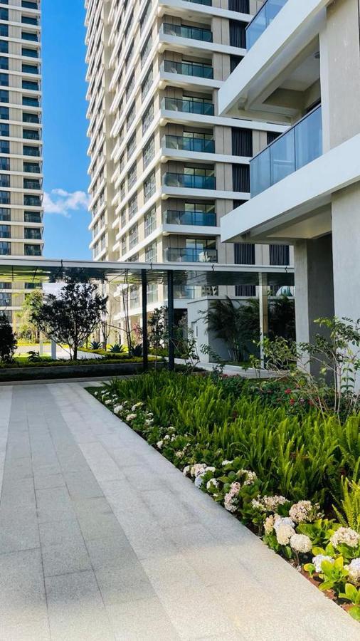 Two Bedroom Gtc Westland *