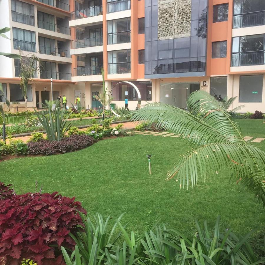 Lux Oasis Of Peace