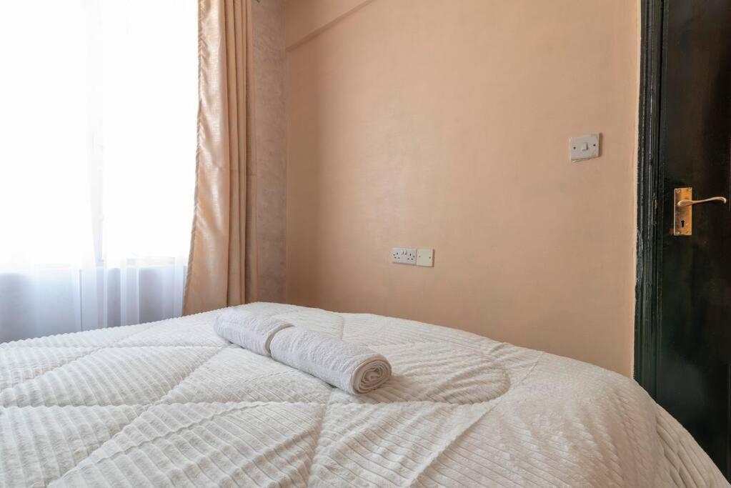 Amani Haven Homes - Ngara And Pangani Area, Apartment