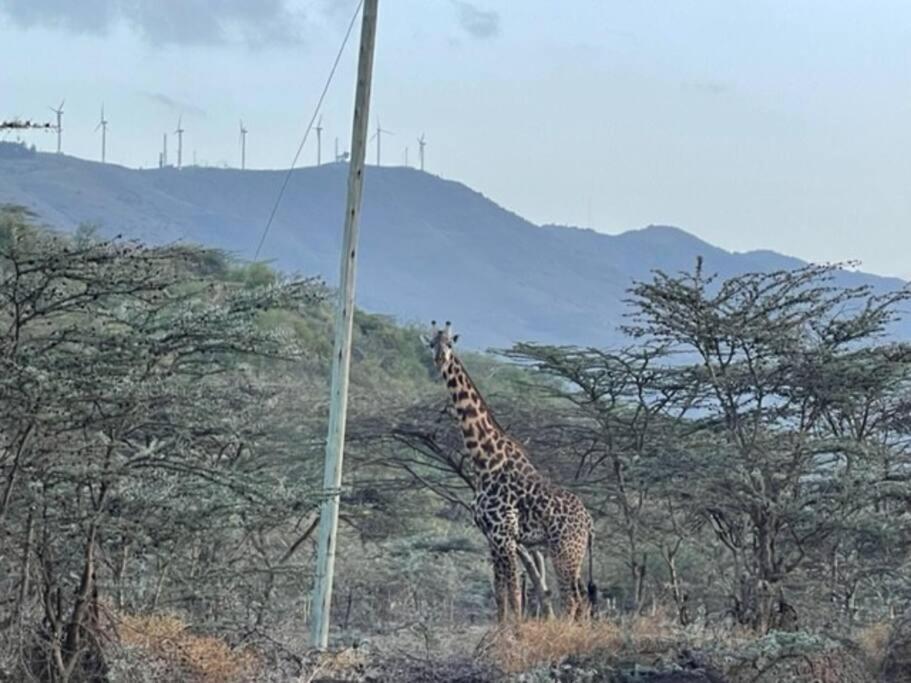 Olmeut House Ngong Holiday home Nairobi