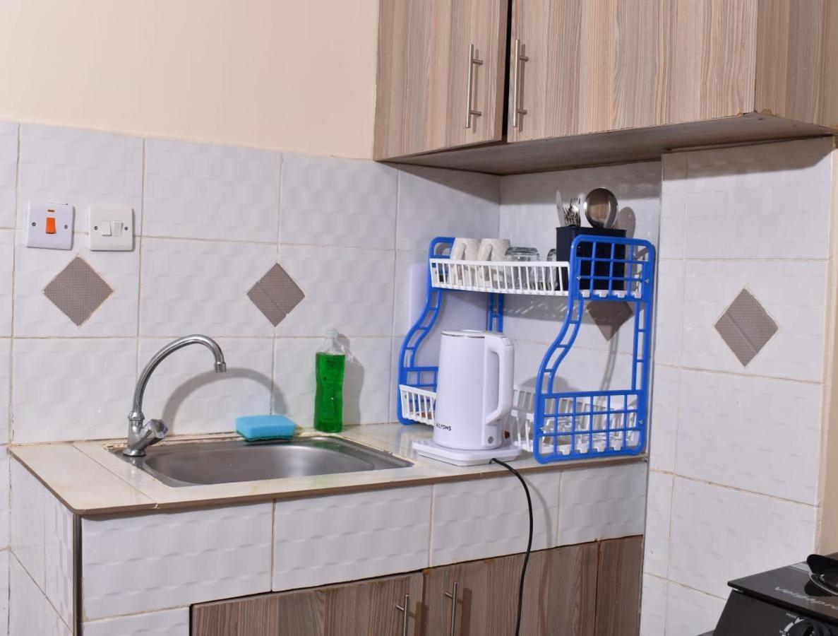 Spacious Bedsitter Lumumba Drive Roysambu/trm/kasarani Along Thika Rd Nairobi