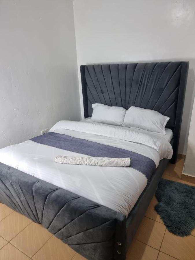 1 Bedroom Trm Drive Roysambu Thika Road Nairobi
