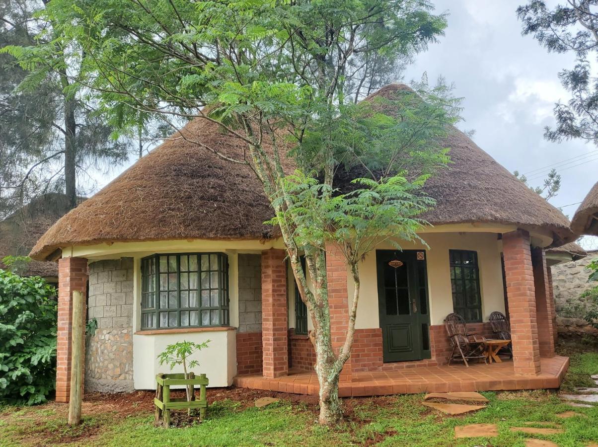 Edaala Comfort - Nairobi
