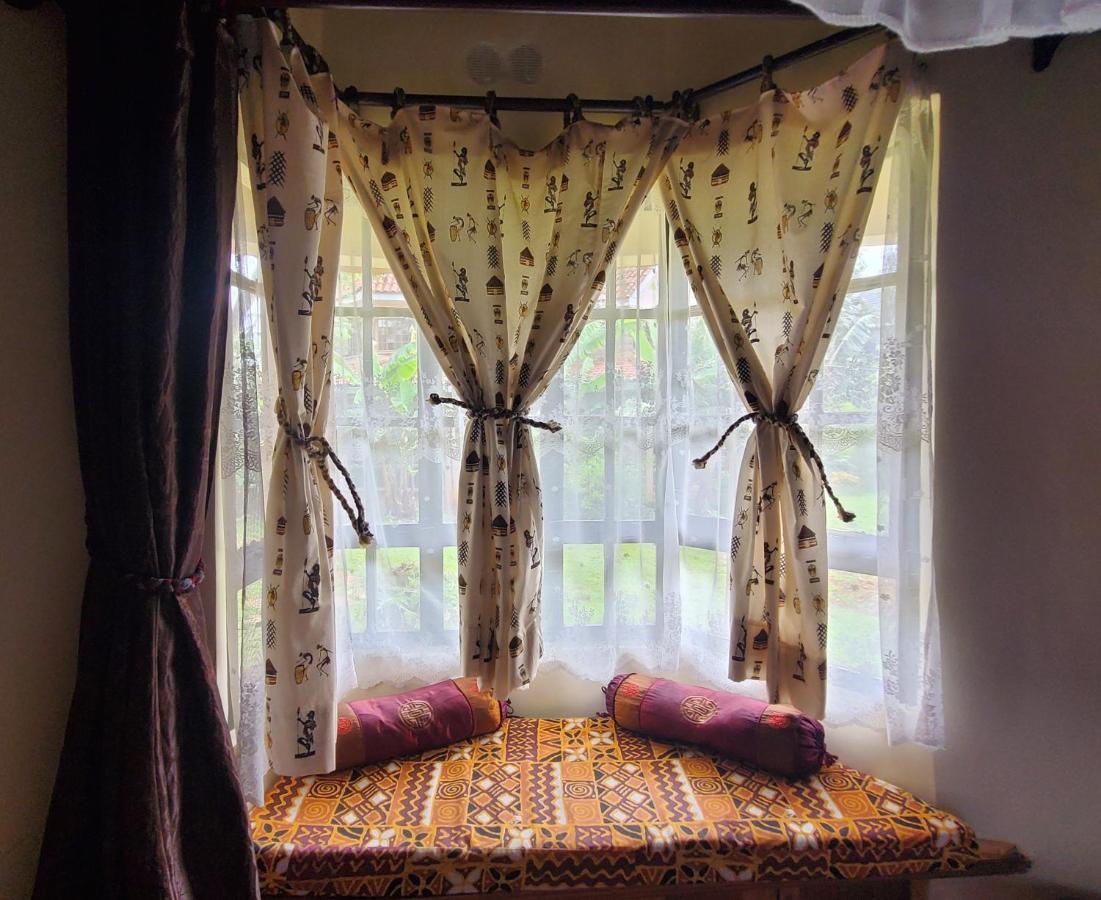 Edaala Comfort - *