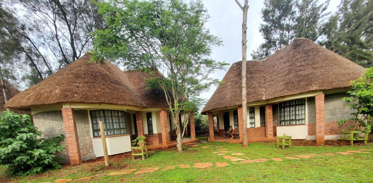 Edaala Comfort - * Nairobi