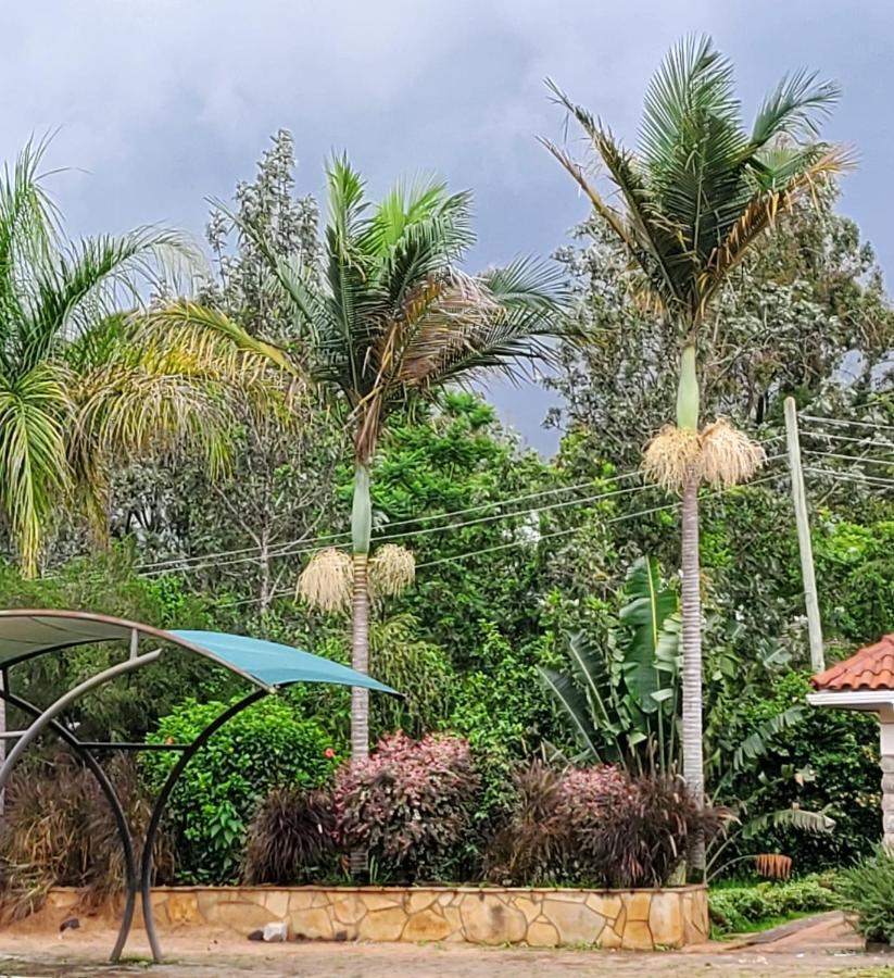 Edaala Comfort - Guest house *