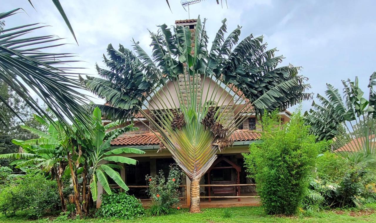 Edaala Comfort - * Nairobi