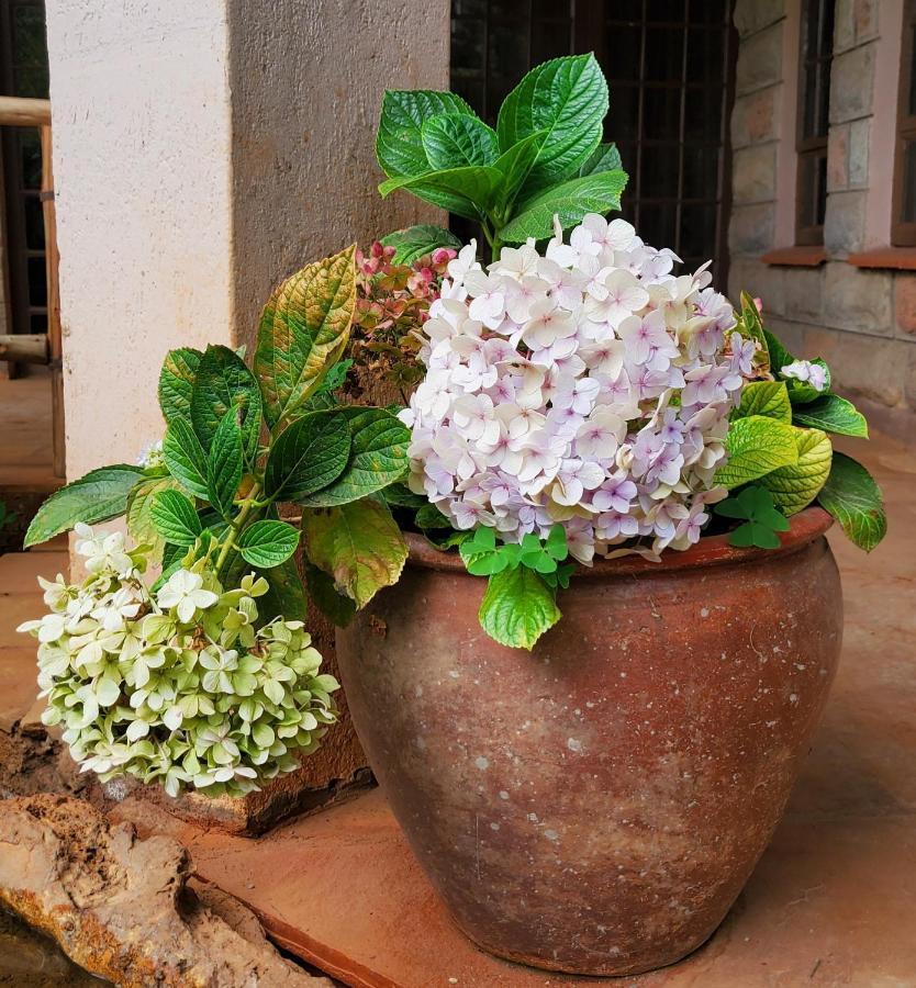 Guest house Edaala Comfort - *