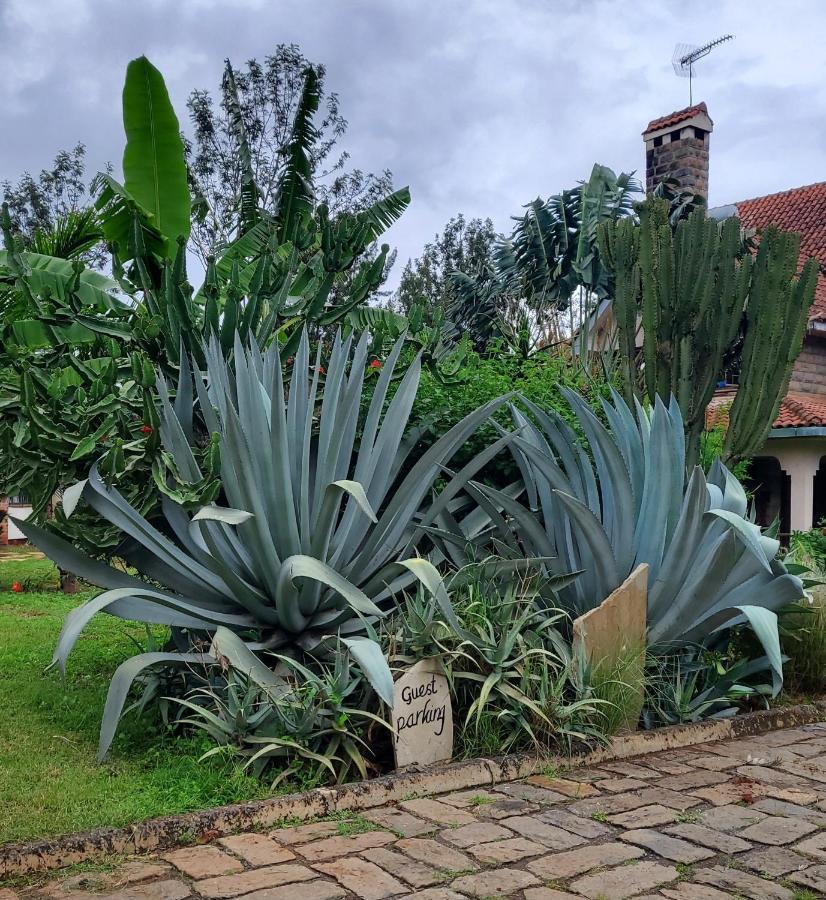 Edaala Comfort - Guest house *