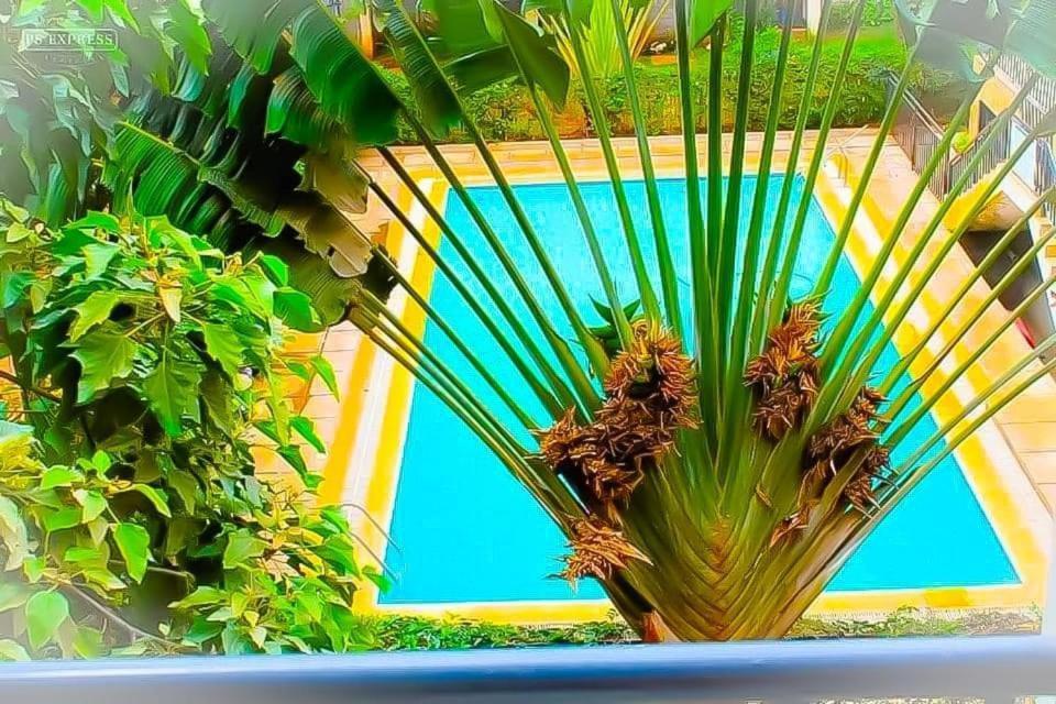 Lux Gardens Syokimau Apartment