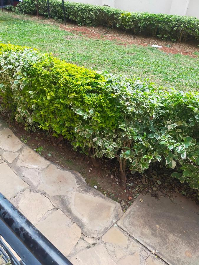 Cozy Spacious Master Ensuite Homestay Nairobi