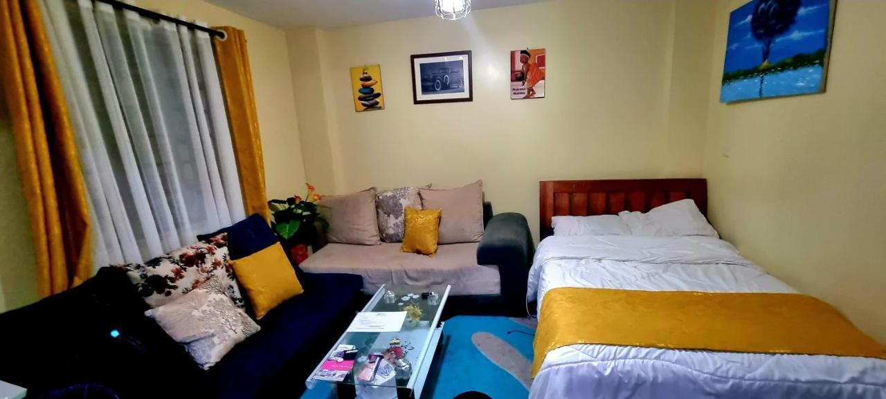 Apartamento Spacious Studio Apartment, Bedsitter Along Trm Drive